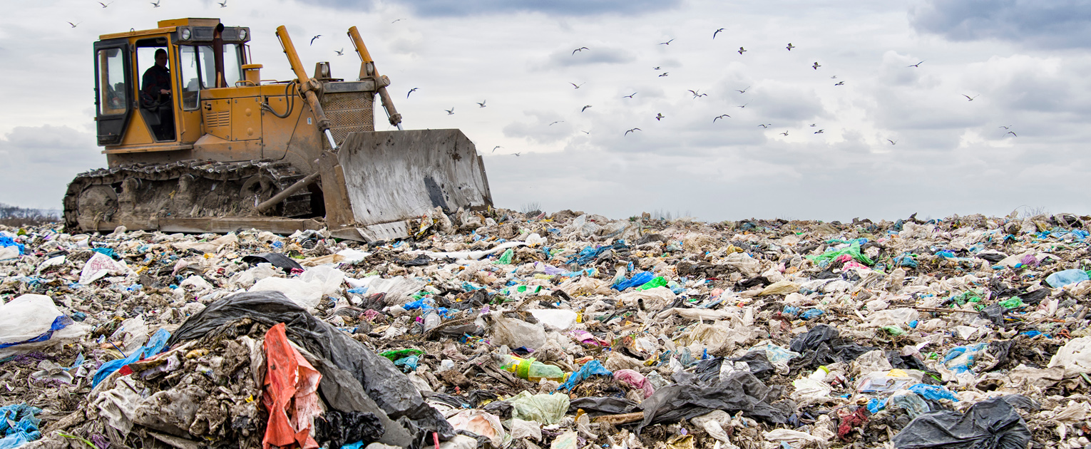 Environmental Impact